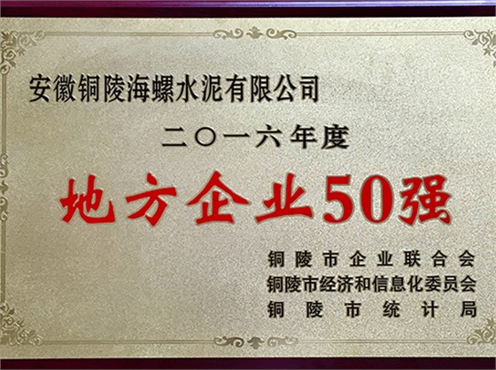 銅陵海螺榮獲“地方企業(yè)50強”稱號