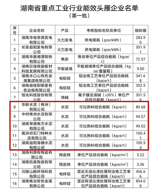 第一批能效“頭雁”企業(yè)