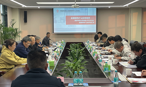 專(zhuān)家組一行實(shí)地察看公司綠色礦山建設(shè)情況